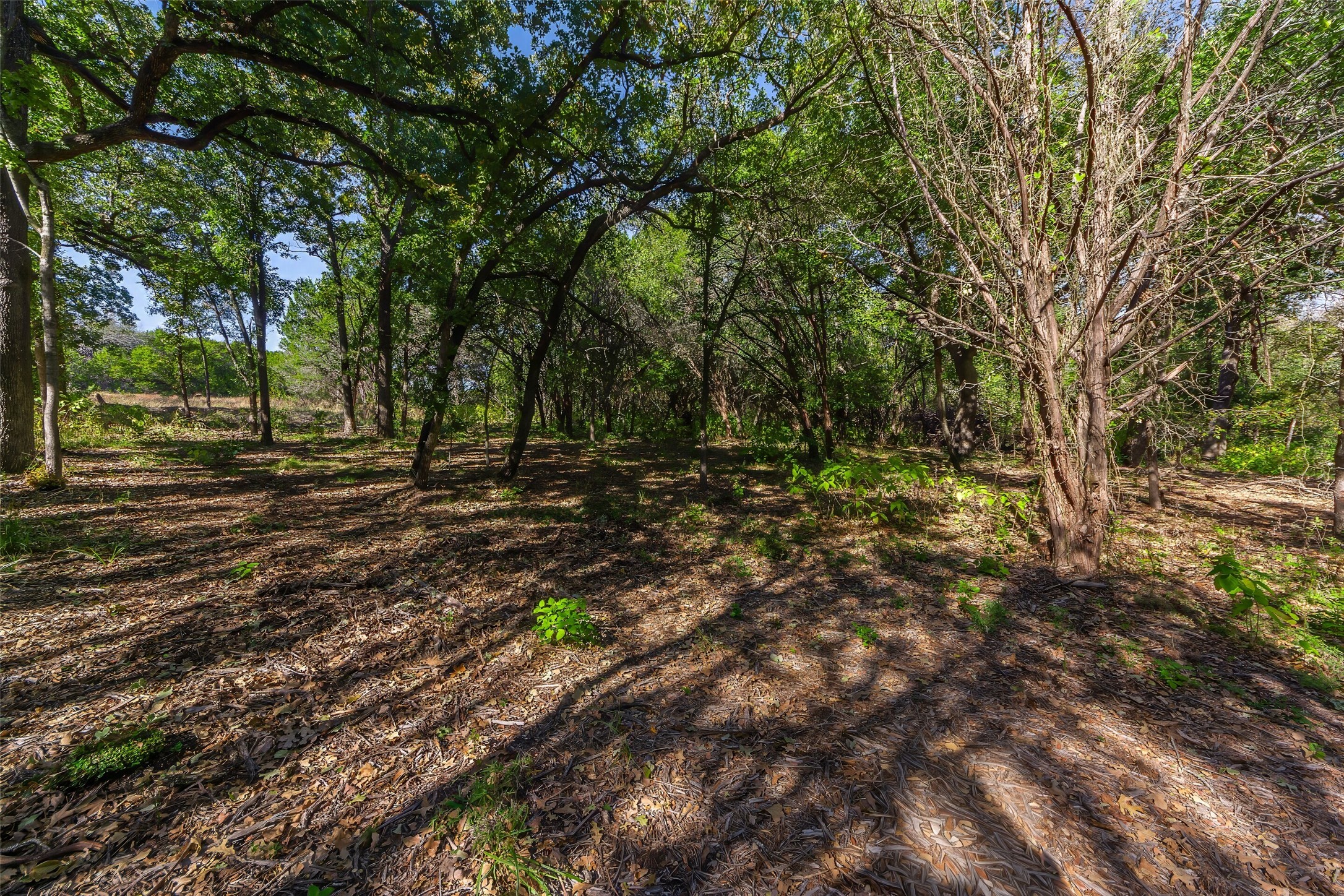 1053 Creek Crossing Road Nemo TX 76070