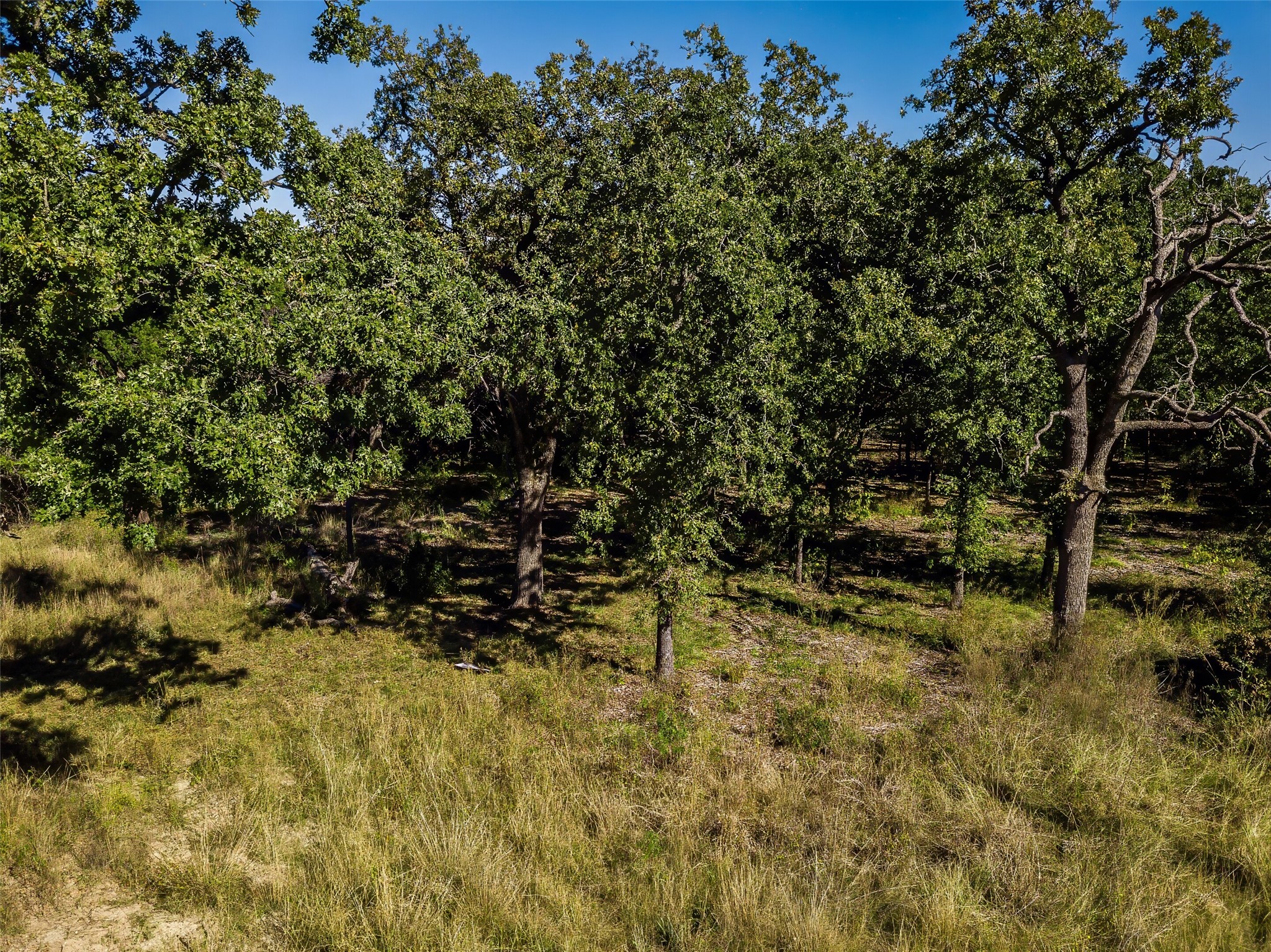 1053 Creek Crossing Road Nemo TX 76070