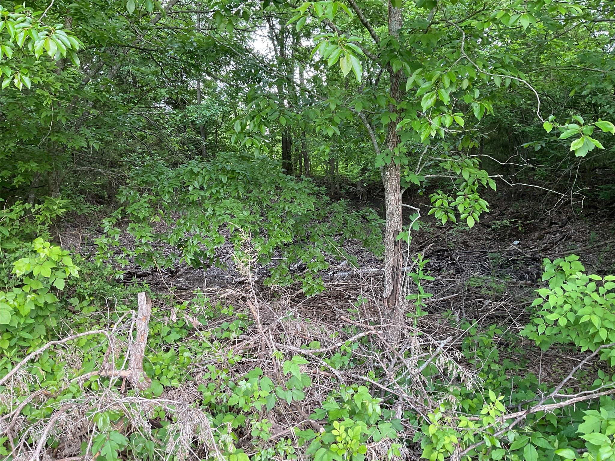 9994 Twin Creeks Circle Anna TX 75409