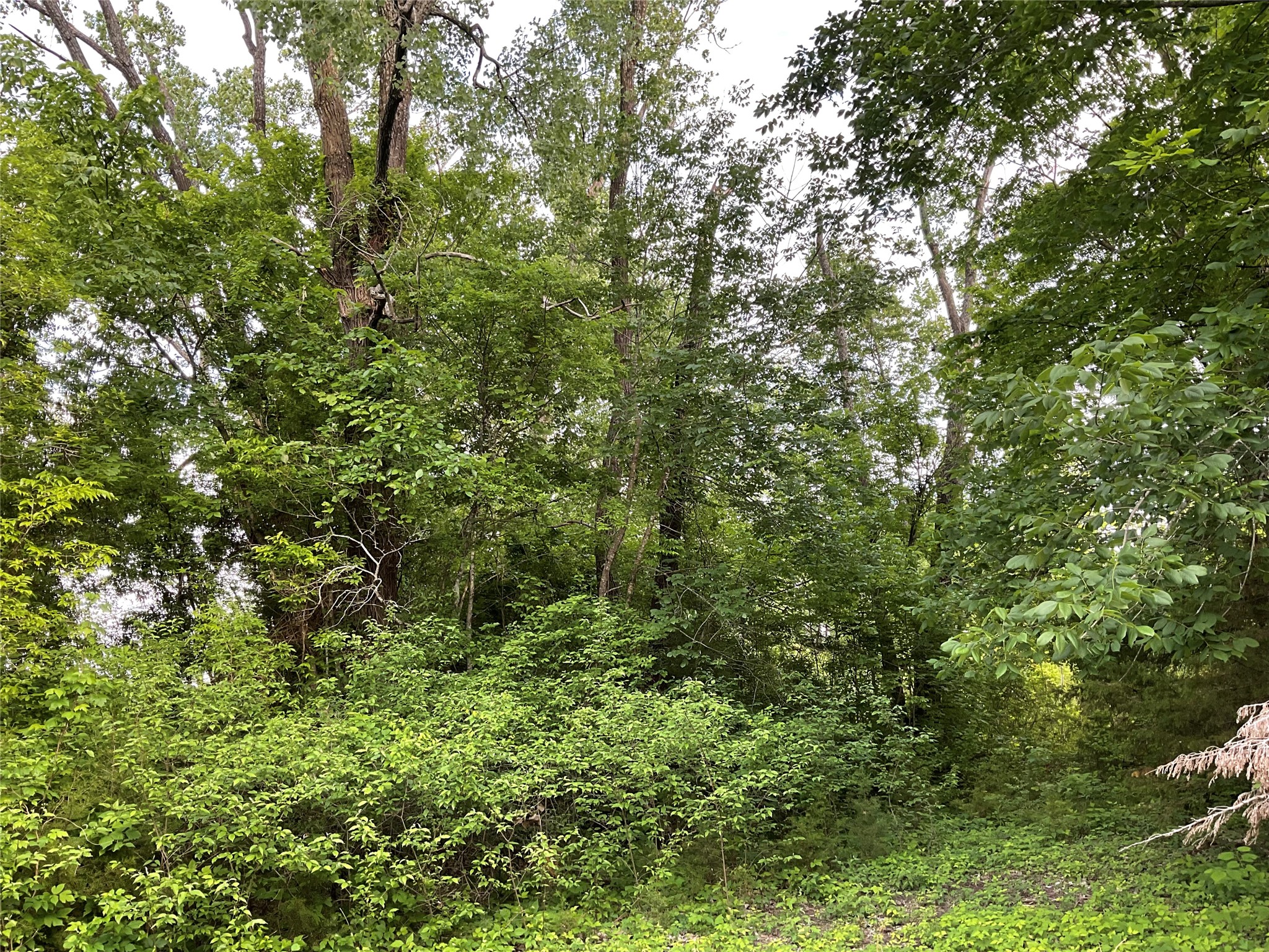 9994 Twin Creeks Circle Anna TX 75409