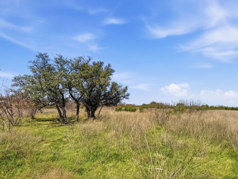 Lot 17 Ph 1 Pr 4218 Evant TX 76525