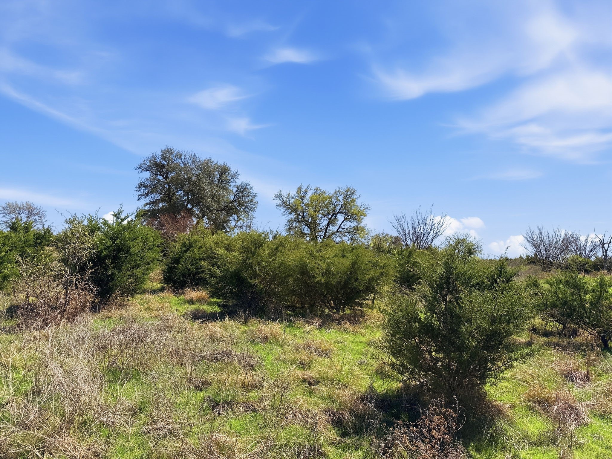 Lot 17 Ph 1 Pr 4218 Evant TX 76525