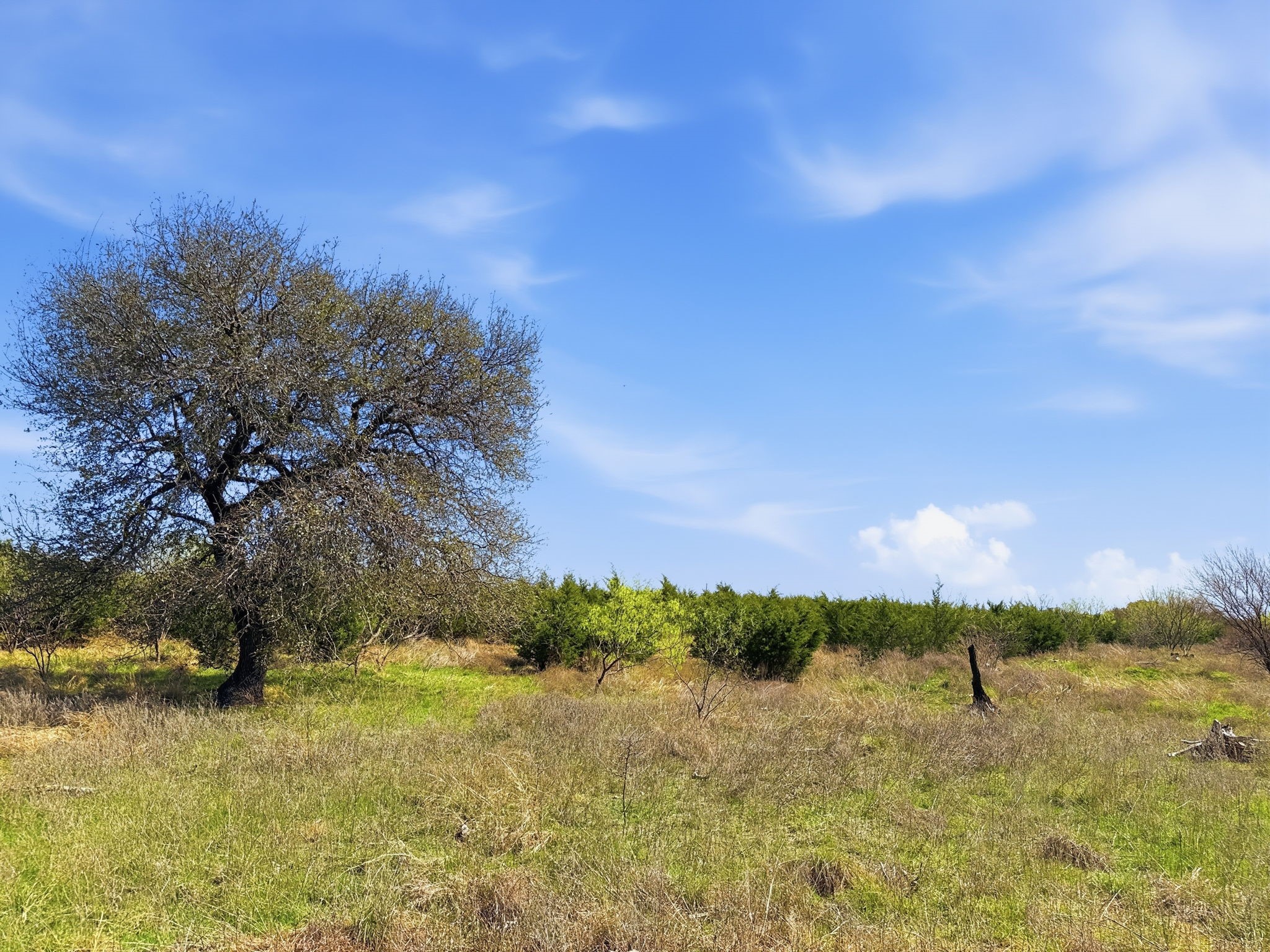Lot 17 Ph 1 Pr 4218 Evant TX 76525