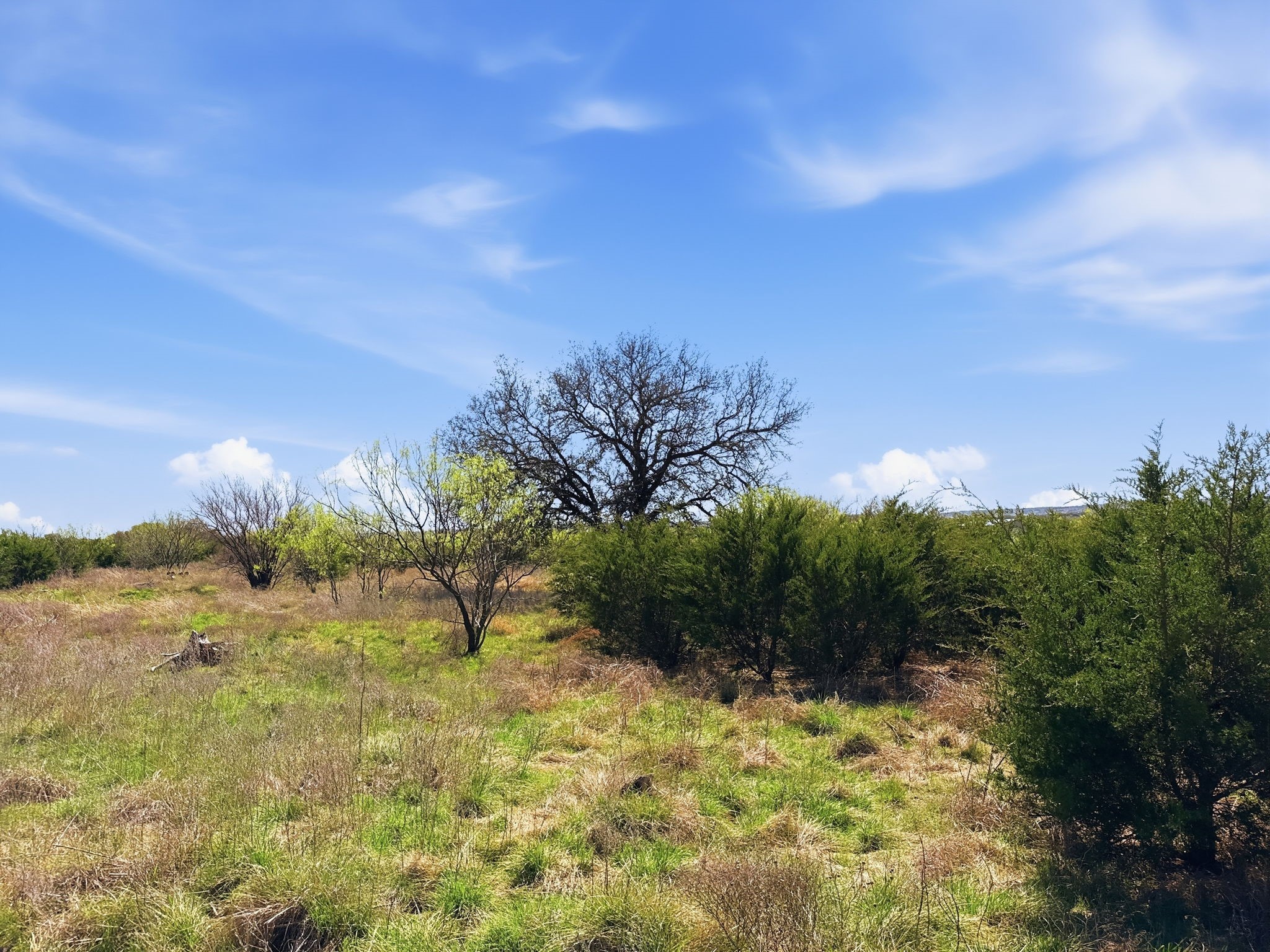 Lot 17 Ph 1 Pr 4218 Evant TX 76525