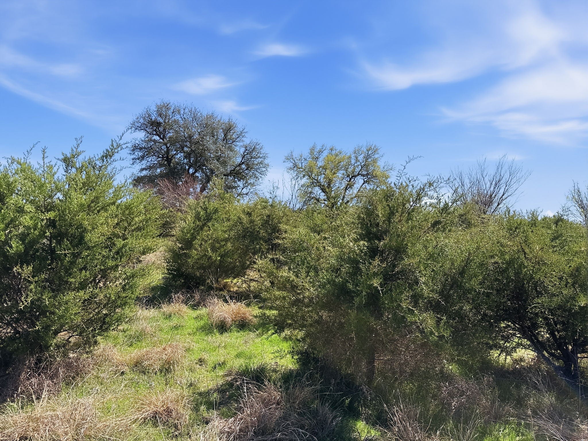 Lot 17 Ph 1 Pr 4218 Evant TX 76525