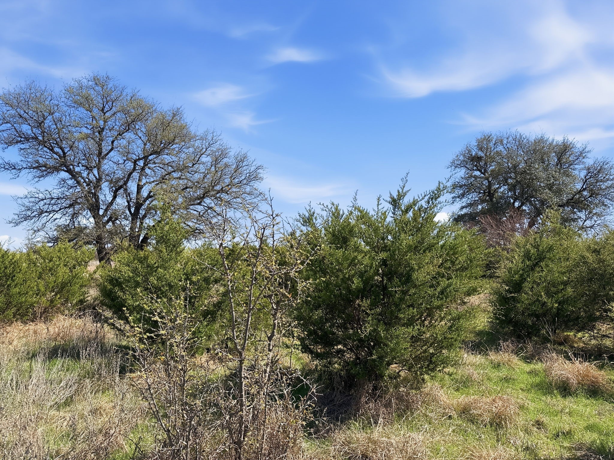 Lot 17 Ph 1 Pr 4218 Evant TX 76525