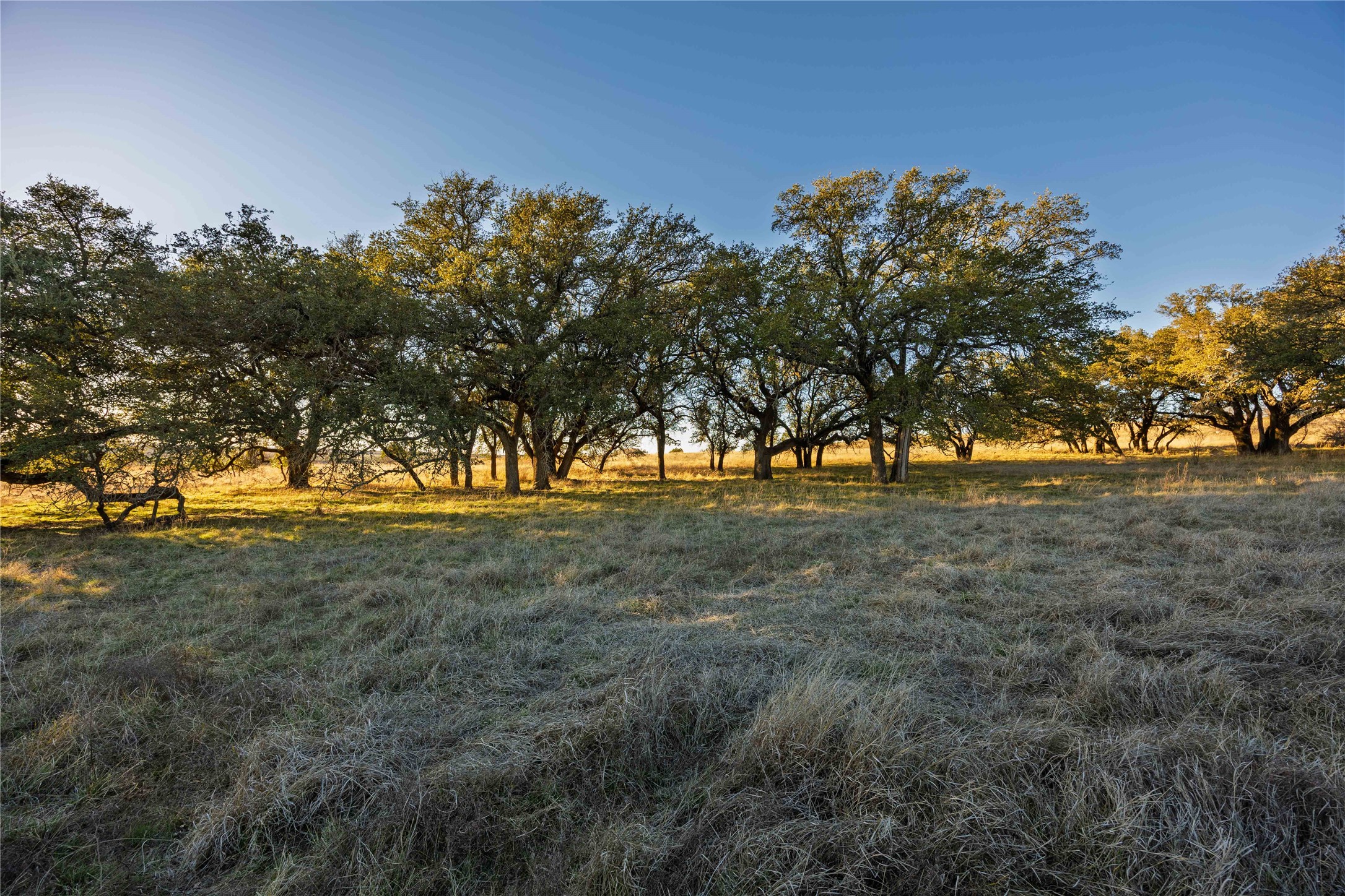 Tbd Comanche Lake Road Comanche TX 76442