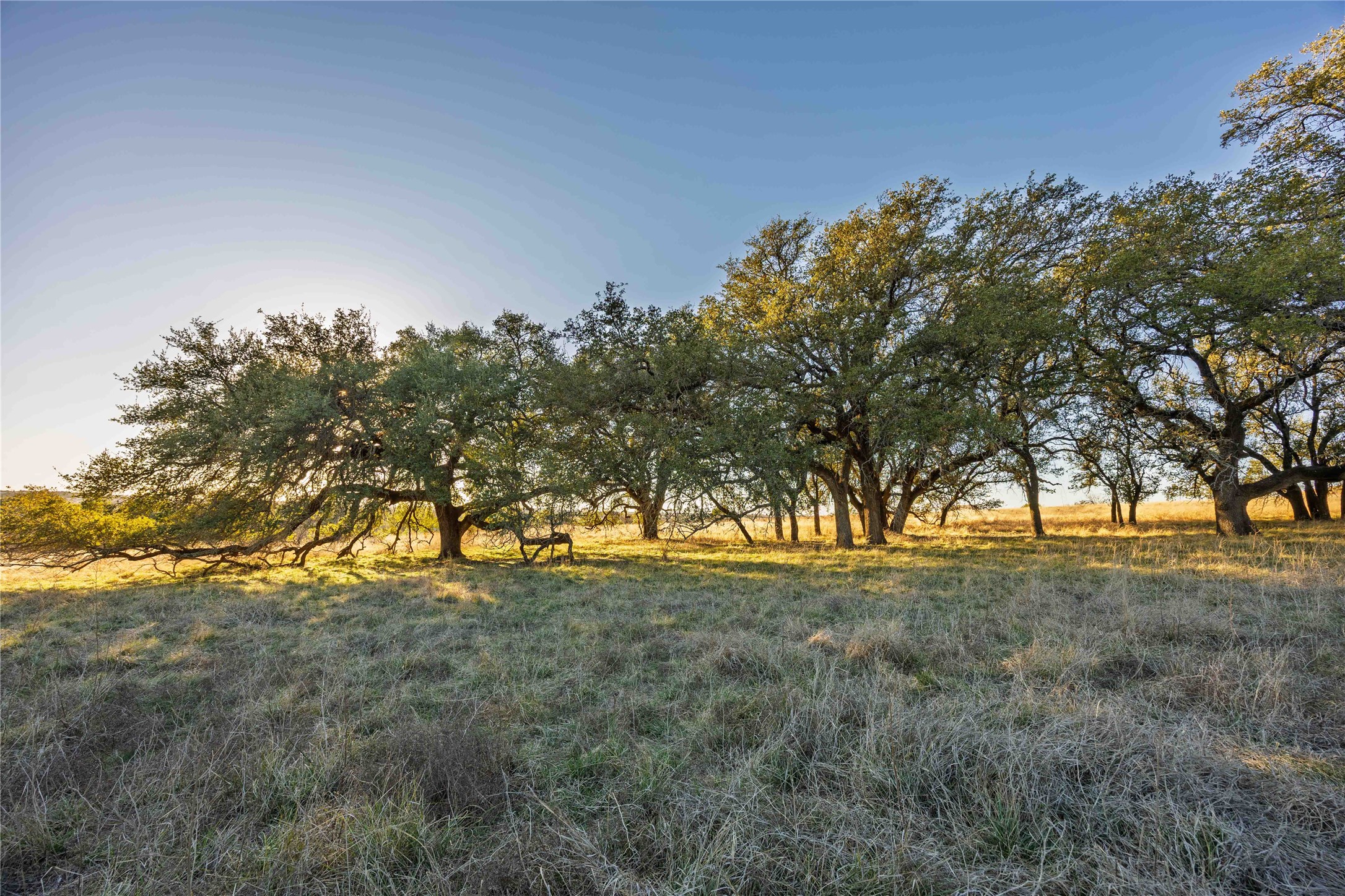 Tbd Comanche Lake Road Comanche TX 76442
