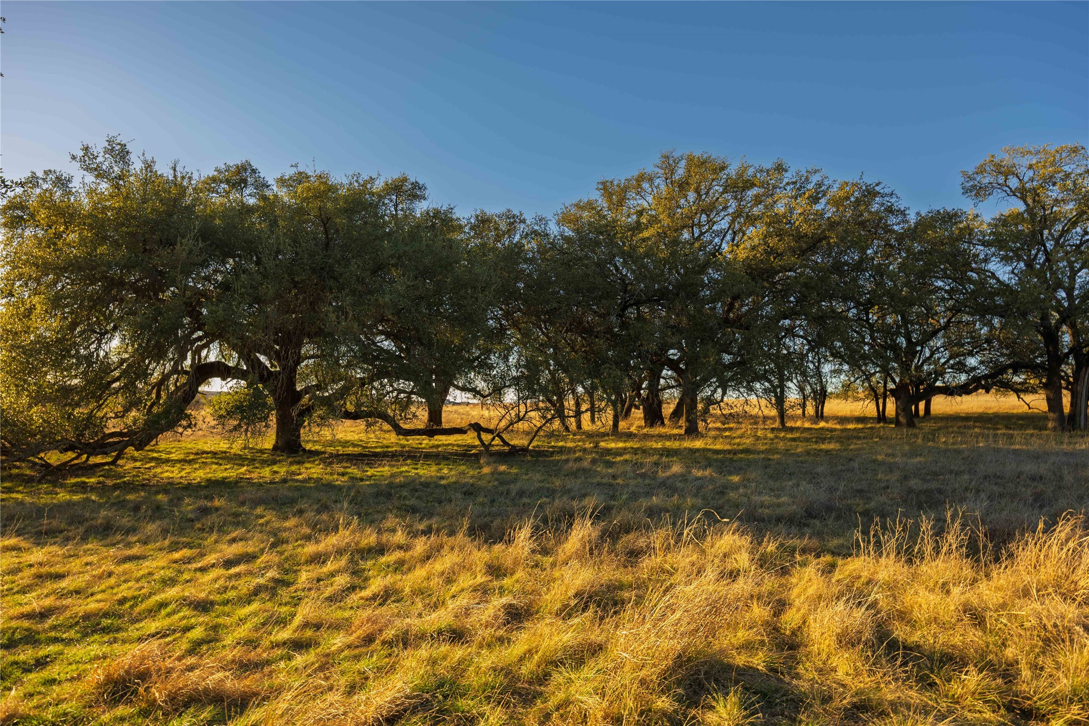 Tbd Comanche Lake Road Comanche TX 76442