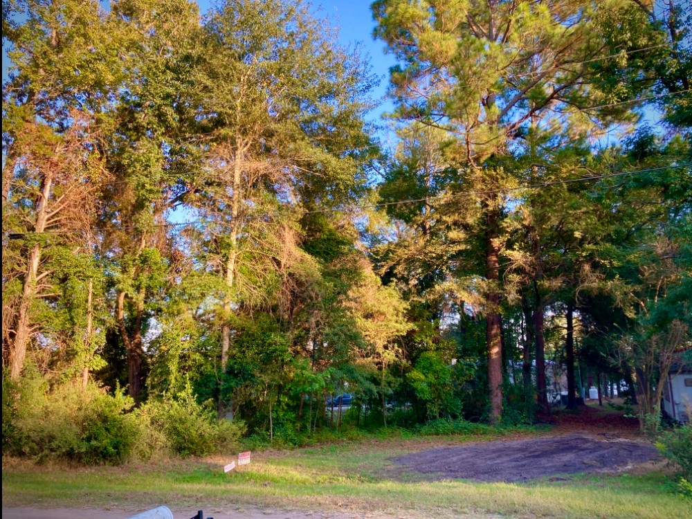 262 E Walnut Trail Murchison TX 75778