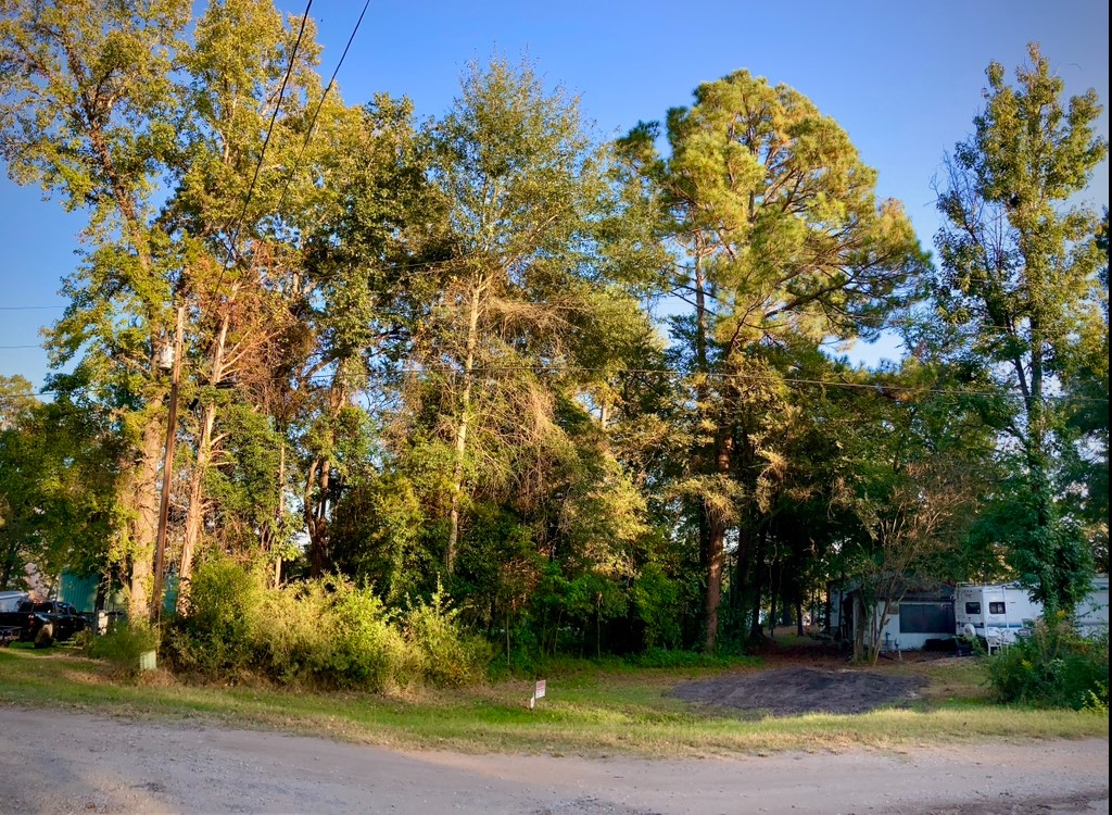 262 E Walnut Trail Murchison TX 75778