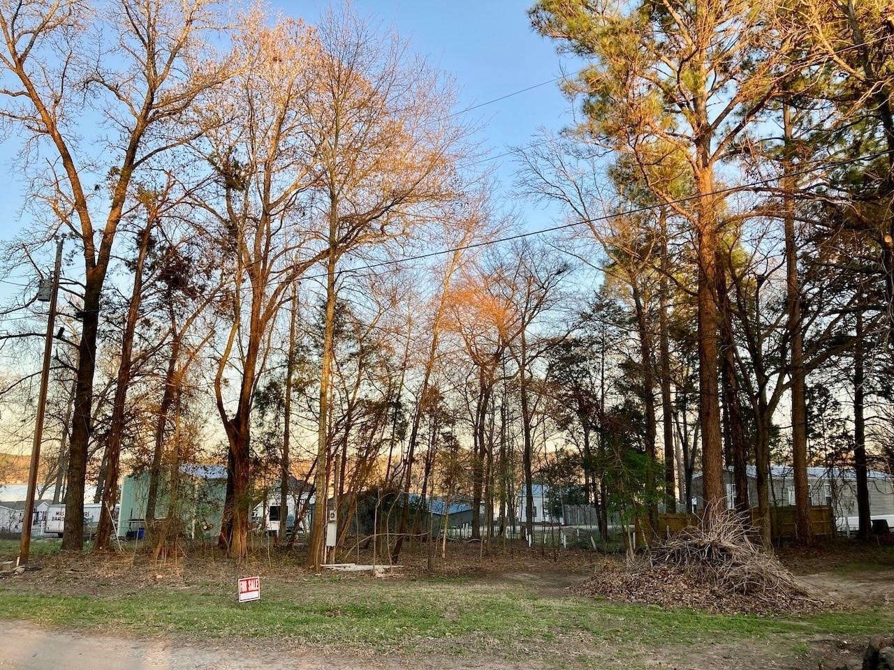 262 E Walnut Trail Murchison TX 75778