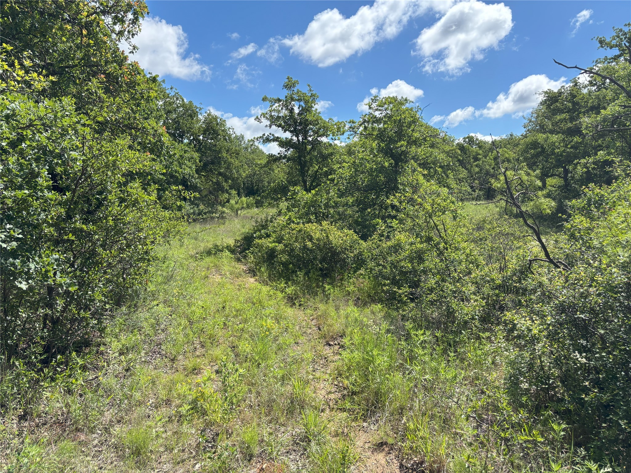 Tbd 0 Tract 2 Sunset Lane Jacksboro TX 76458