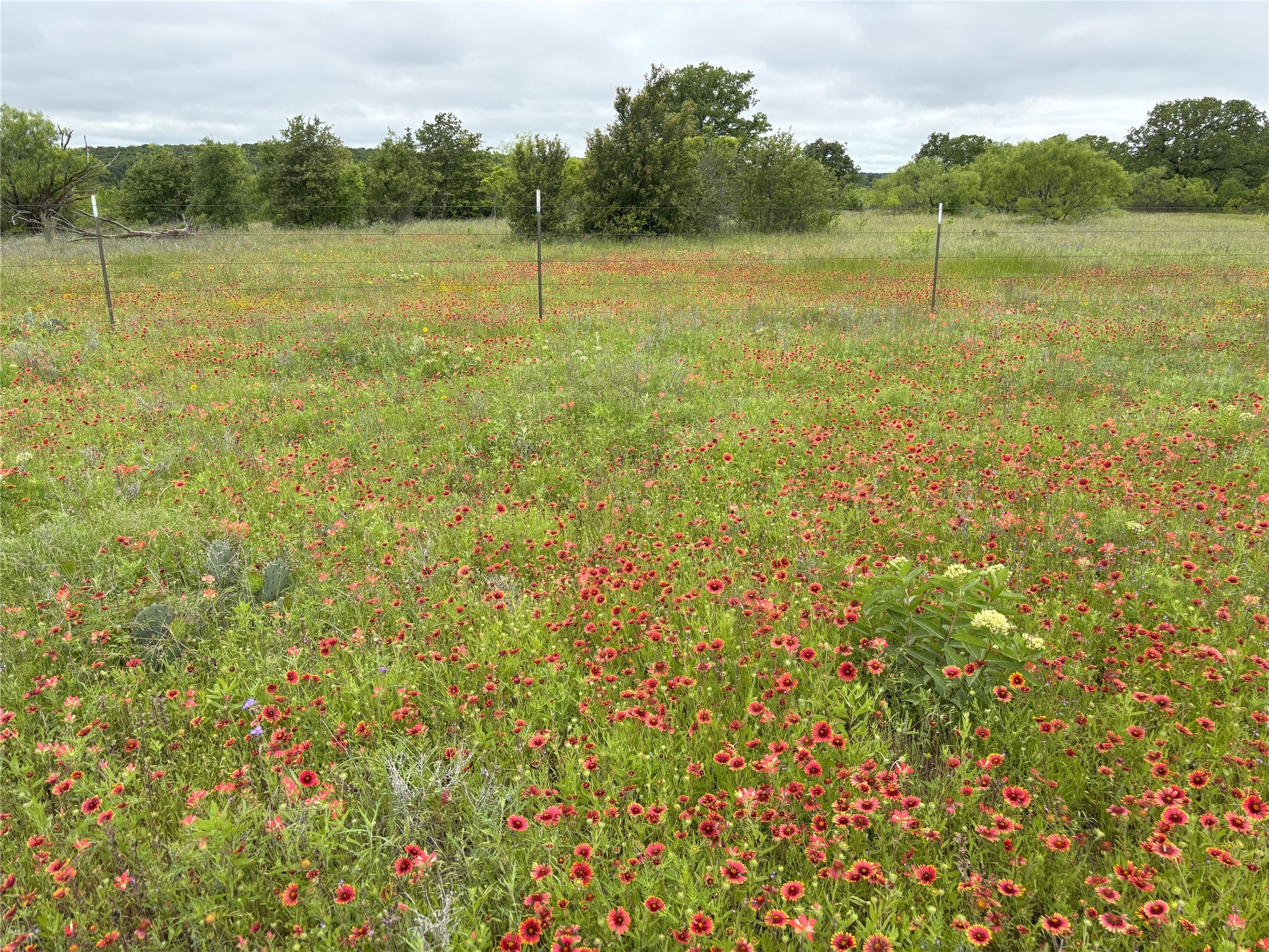 Tbd 0 Tract 2 Sunset Lane Jacksboro TX 76458