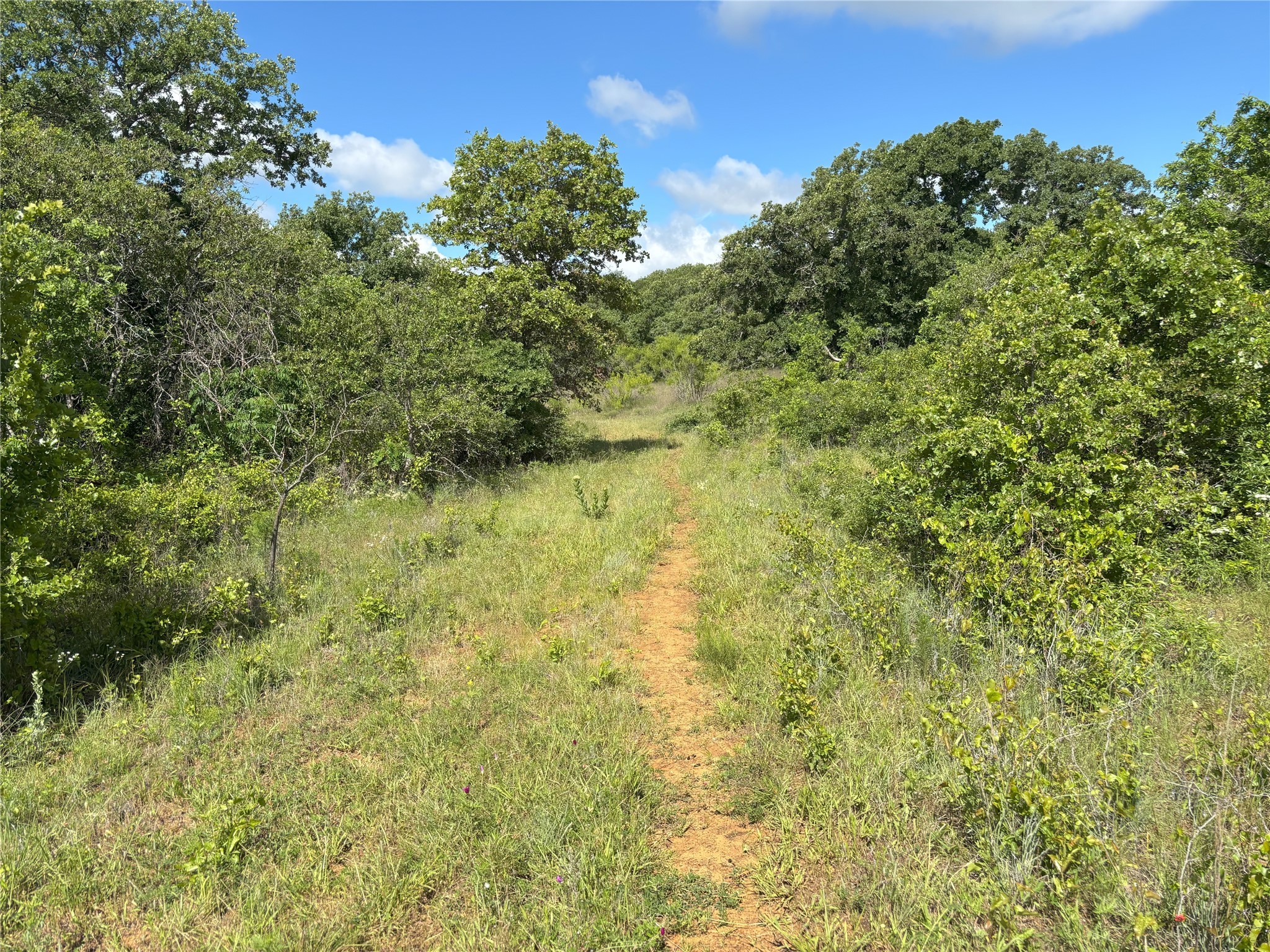 Tbd 0 Tract 2 Sunset Lane Jacksboro TX 76458