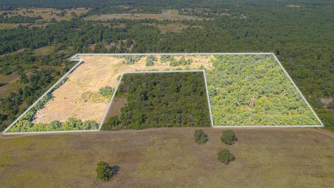 Tbd County Road 228 Centerville TX 75833