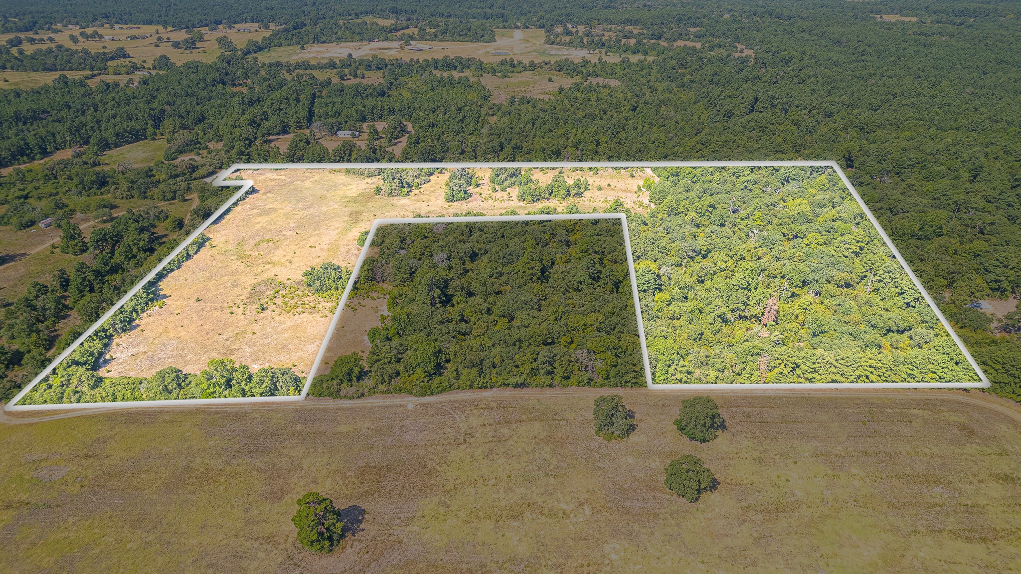 Tbd County Road 228 Centerville TX 75833