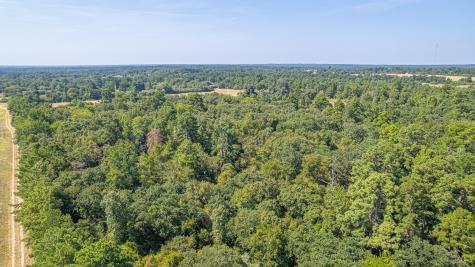 Tbd County Road 228 Centerville TX 75833