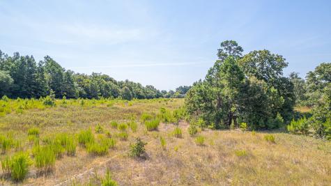 Tbd County Road 228 Centerville TX 75833
