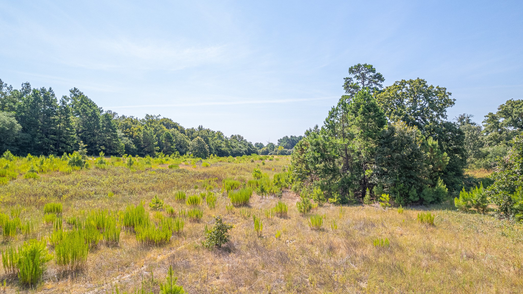 Tbd County Road 228 Centerville TX 75833