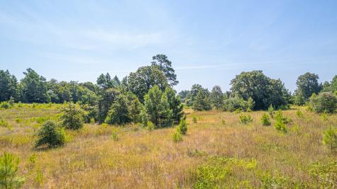 Tbd County Road 228 Centerville TX 75833