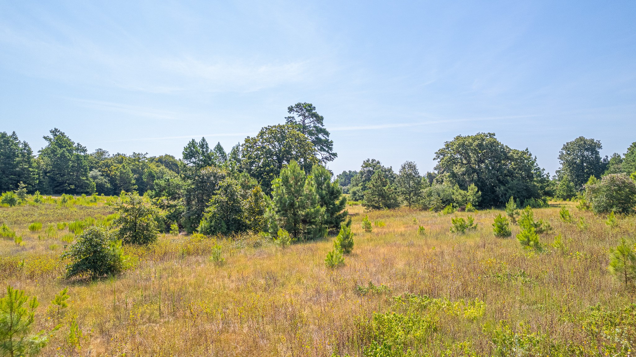 Tbd County Road 228 Centerville TX 75833