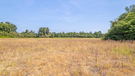 Tbd County Road 228 Centerville TX 75833