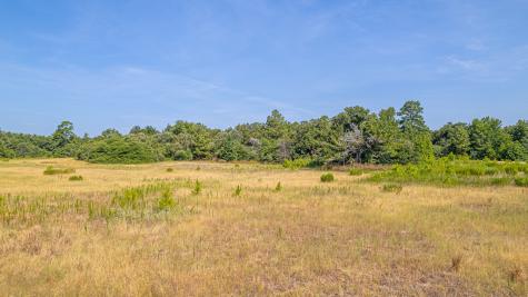 Tbd County Road 228 Centerville TX 75833