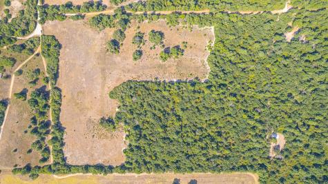 Tbd County Road 228 Centerville TX 75833