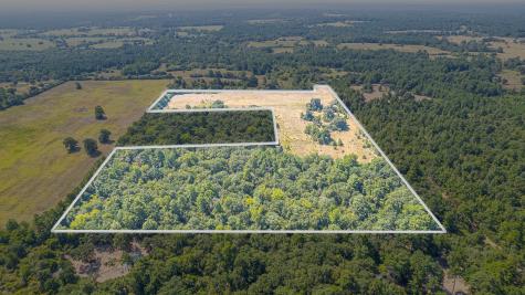 Tbd County Road 228 Centerville TX 75833