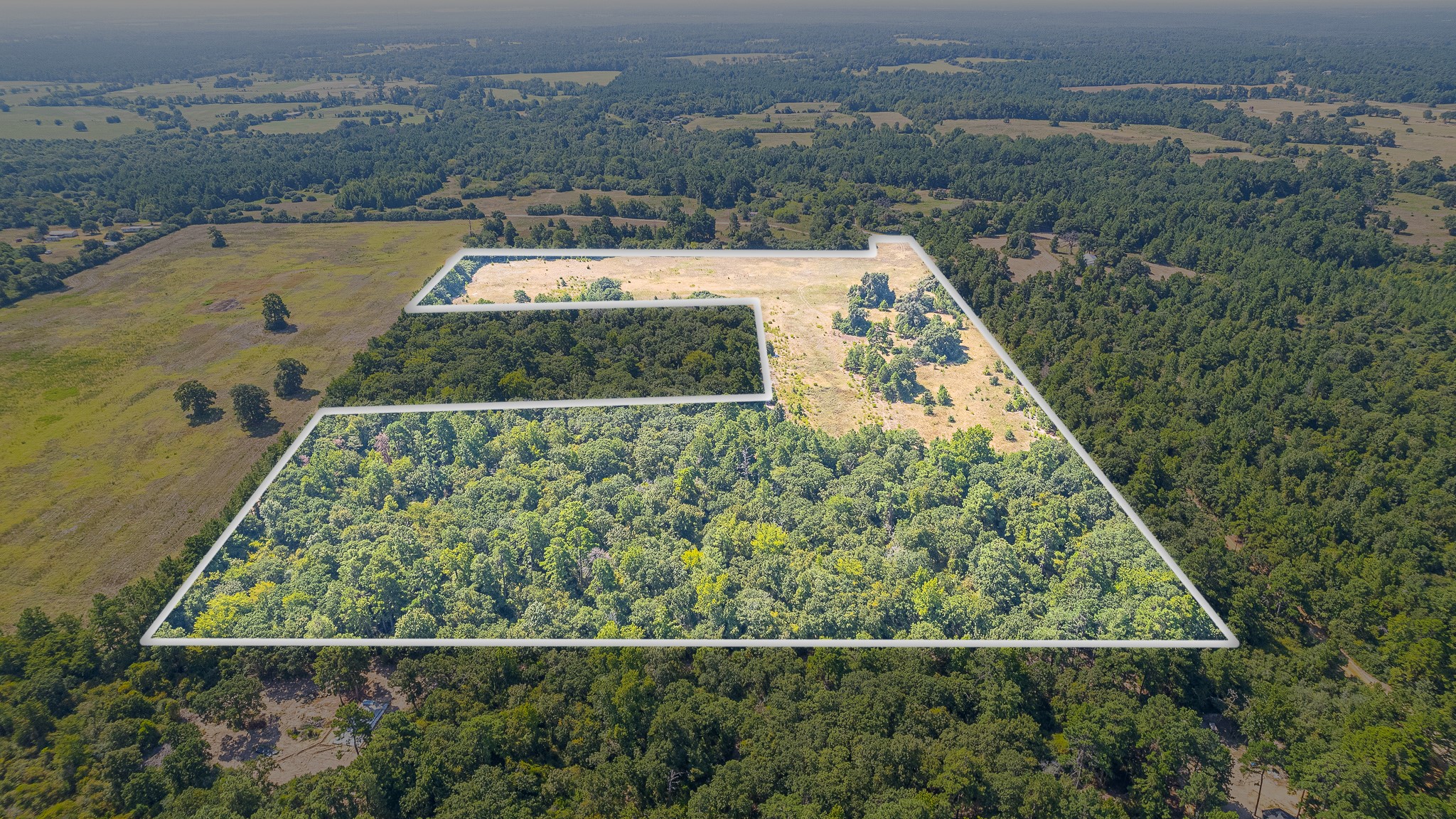 Tbd County Road 228 Centerville TX 75833