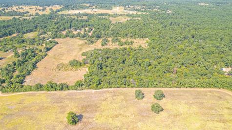 Tbd County Road 228 Centerville TX 75833