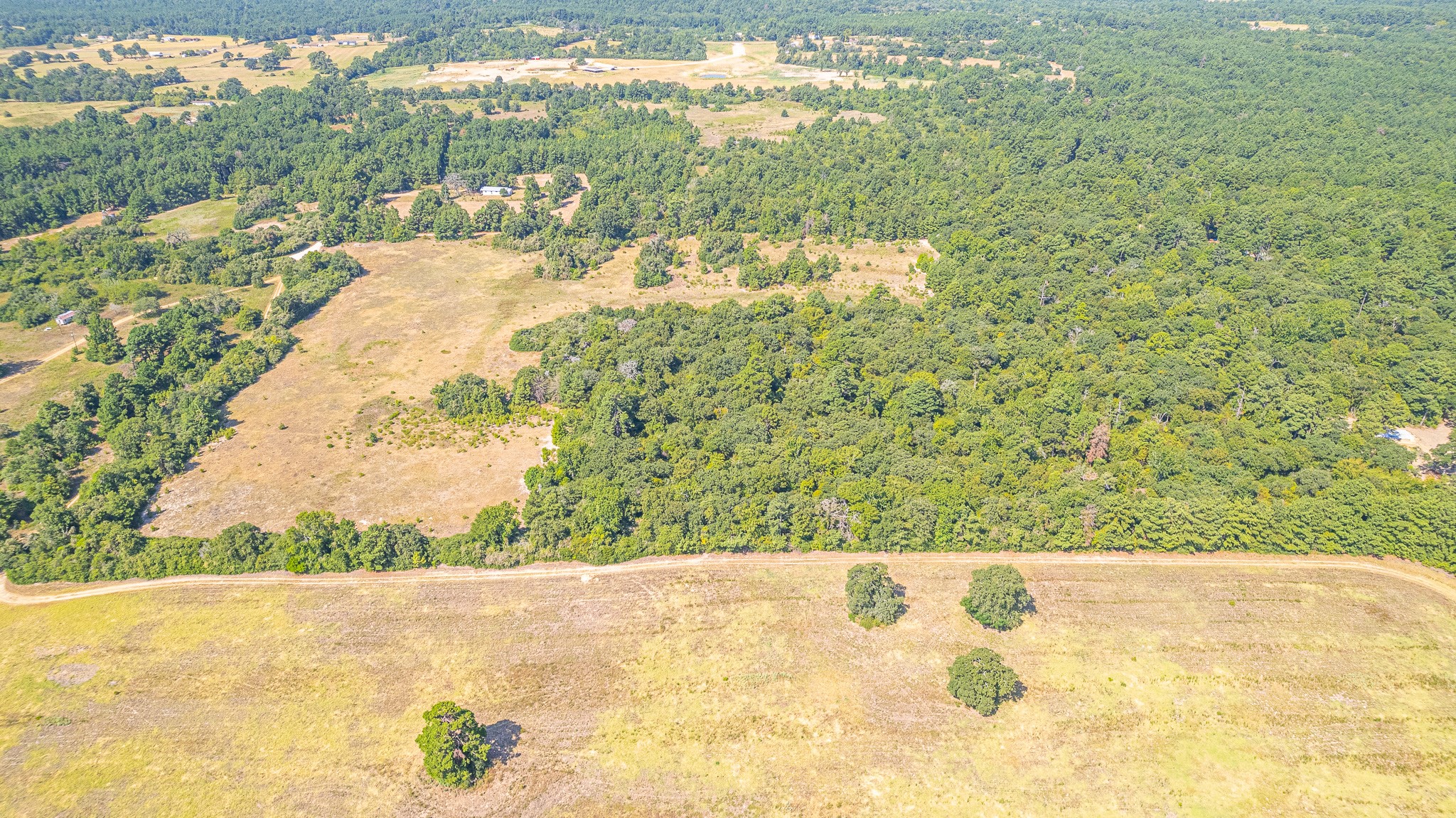 Tbd County Road 228 Centerville TX 75833