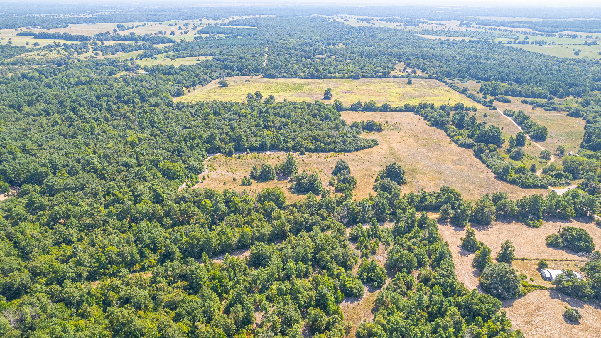 Tbd County Road 228 Centerville TX 75833