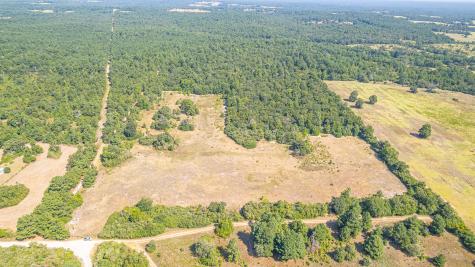 Tbd County Road 228 Centerville TX 75833