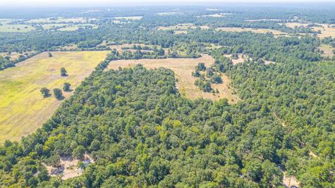 Tbd County Road 228 Centerville TX 75833