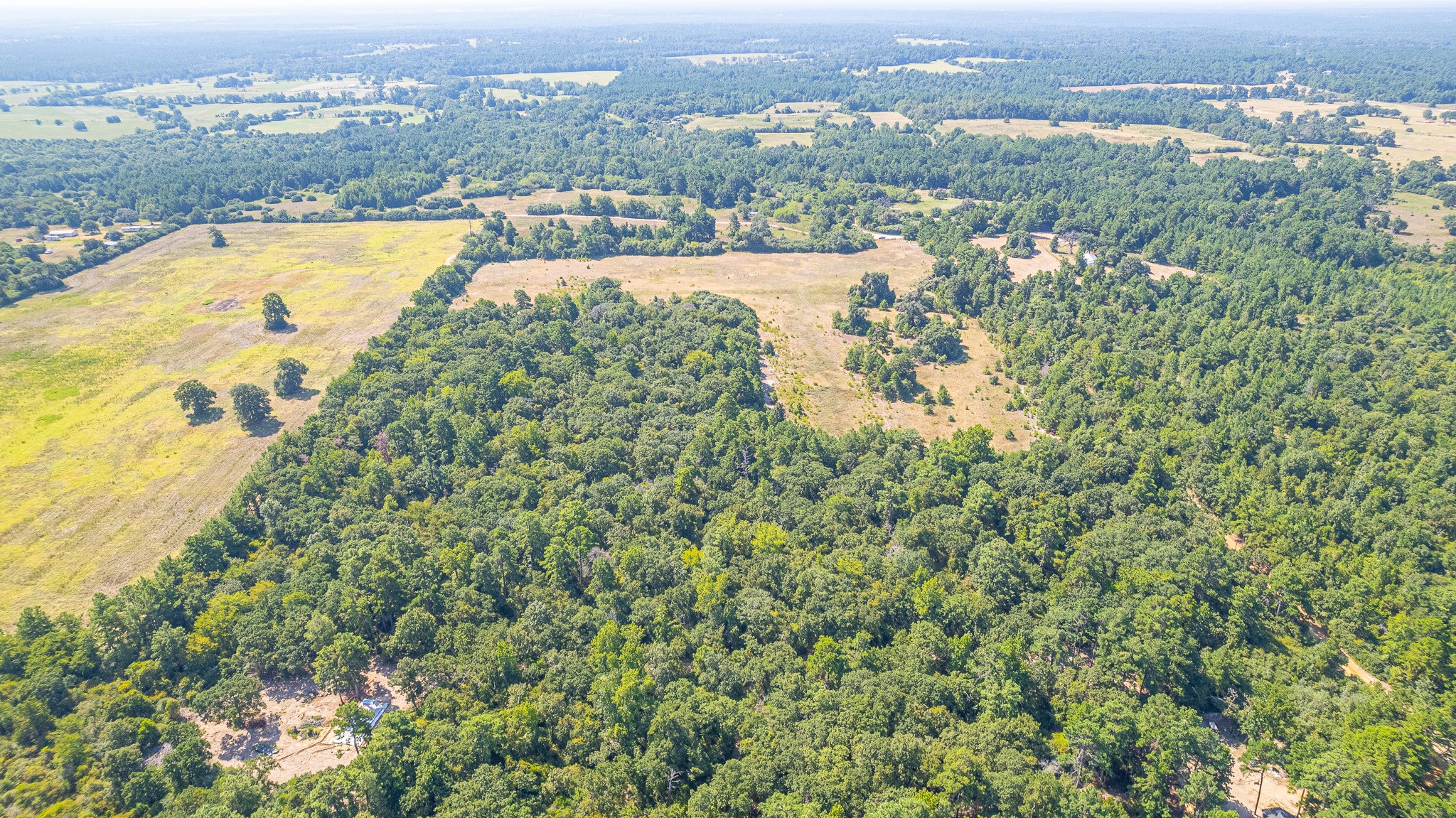 Tbd County Road 228 Centerville TX 75833