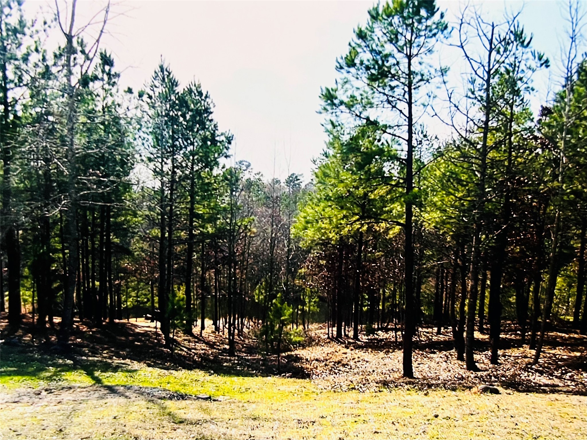 947 County Road 4510 Winnsboro TX 75494
