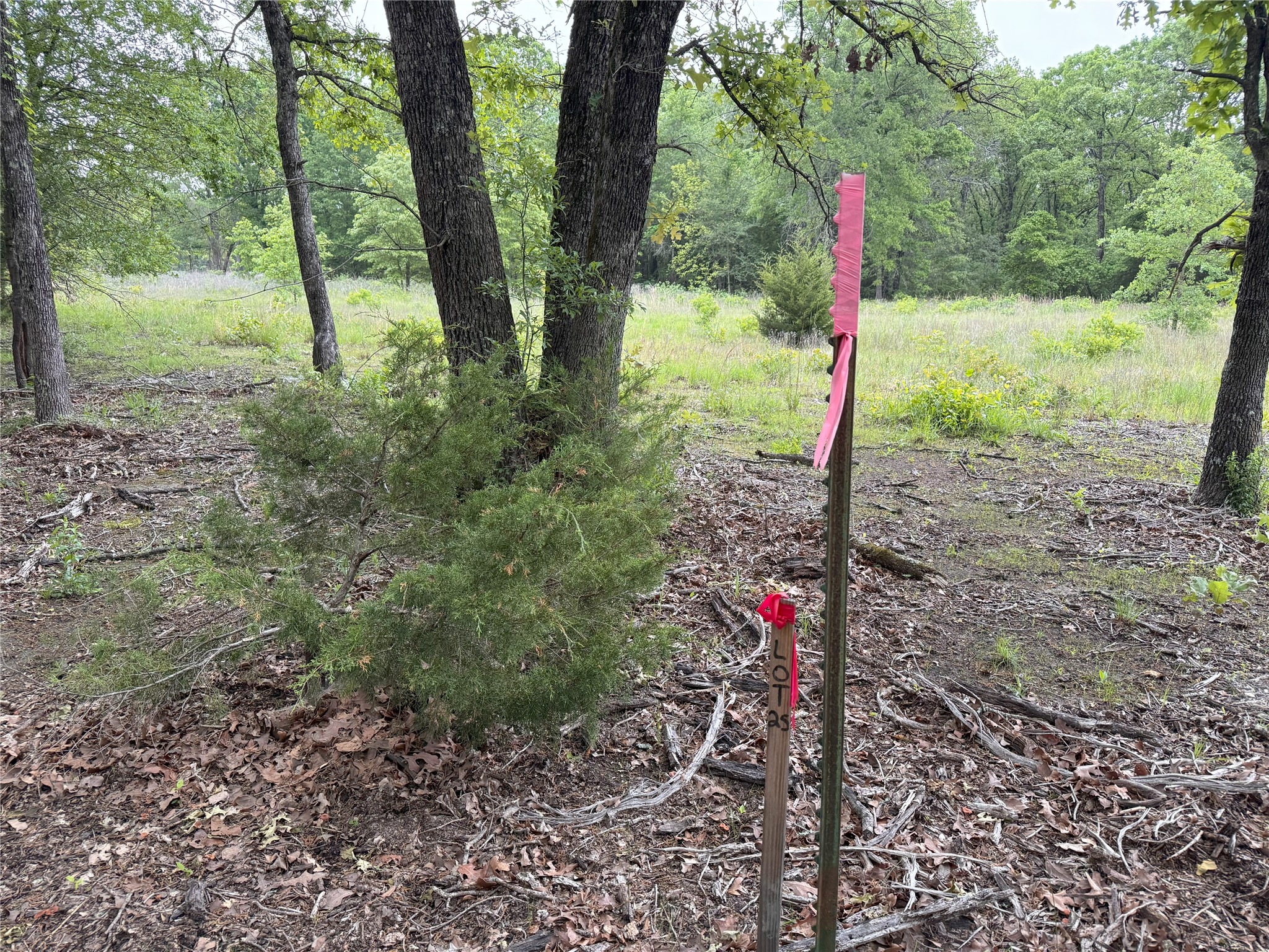 Lot 25 Rains County Road 2610 Alba TX 75410