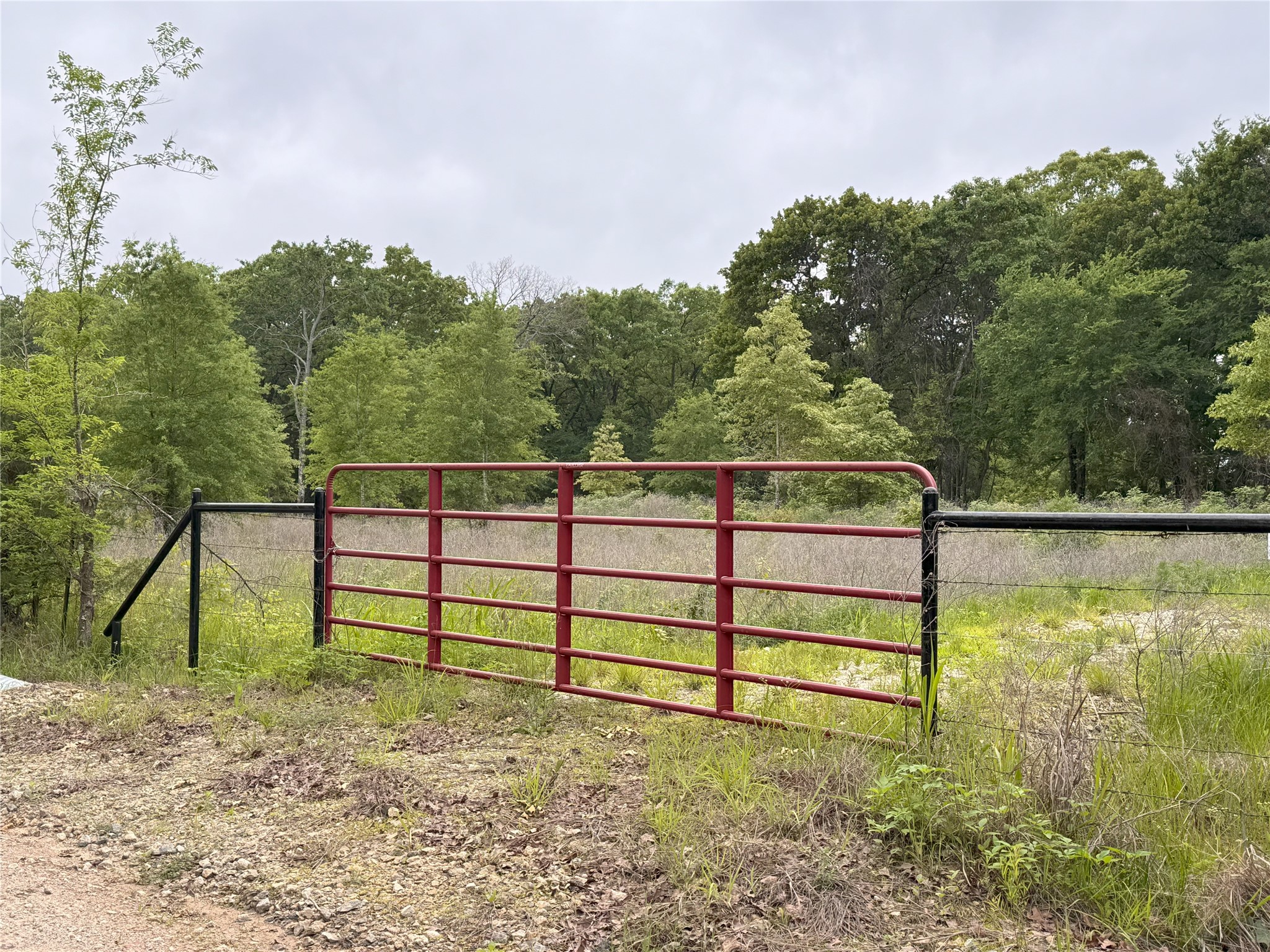 Lot 25 Rains County Road 2610 Alba TX 75410