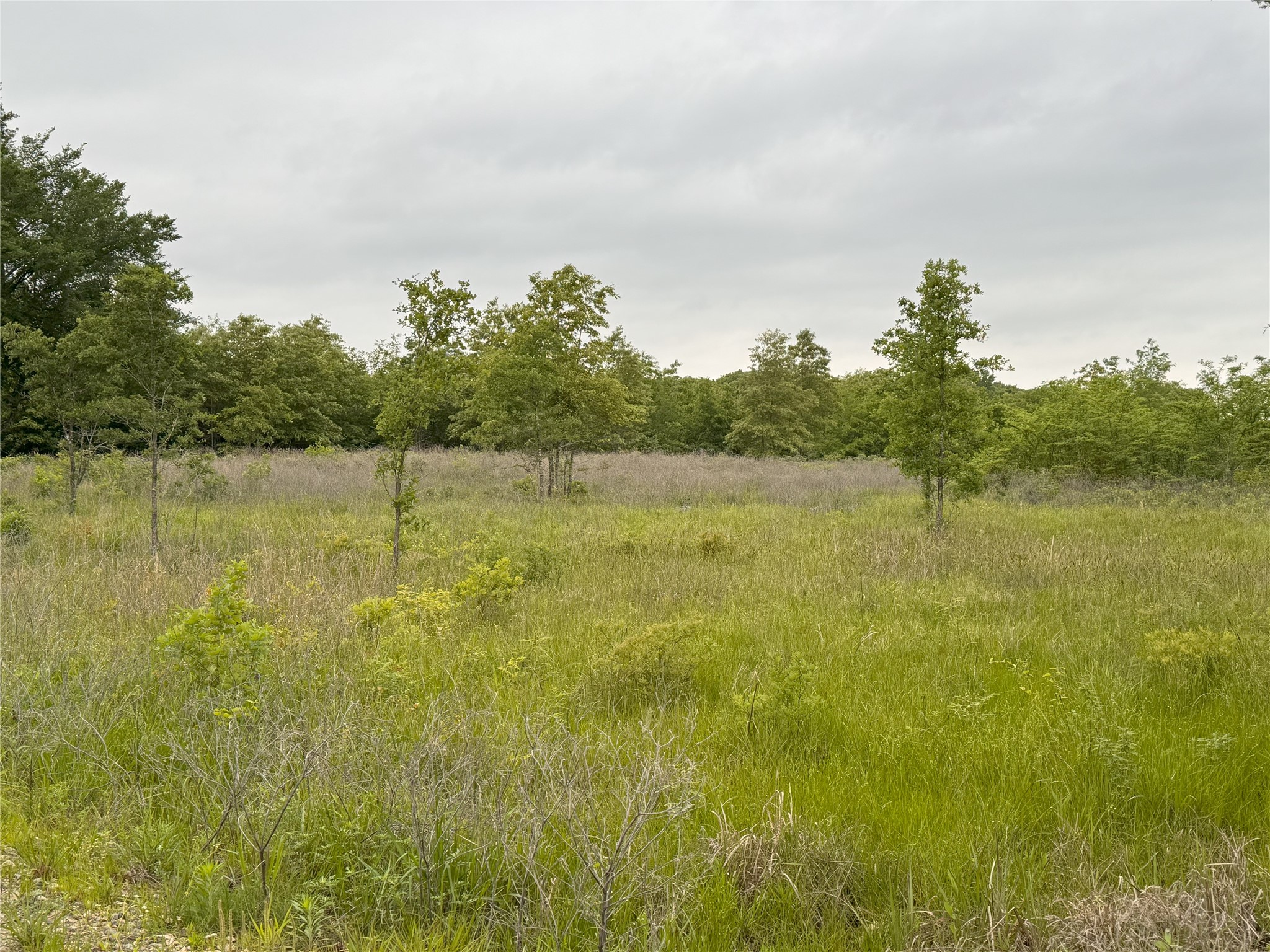 Lot 25 Rains County Road 2610 Alba TX 75410