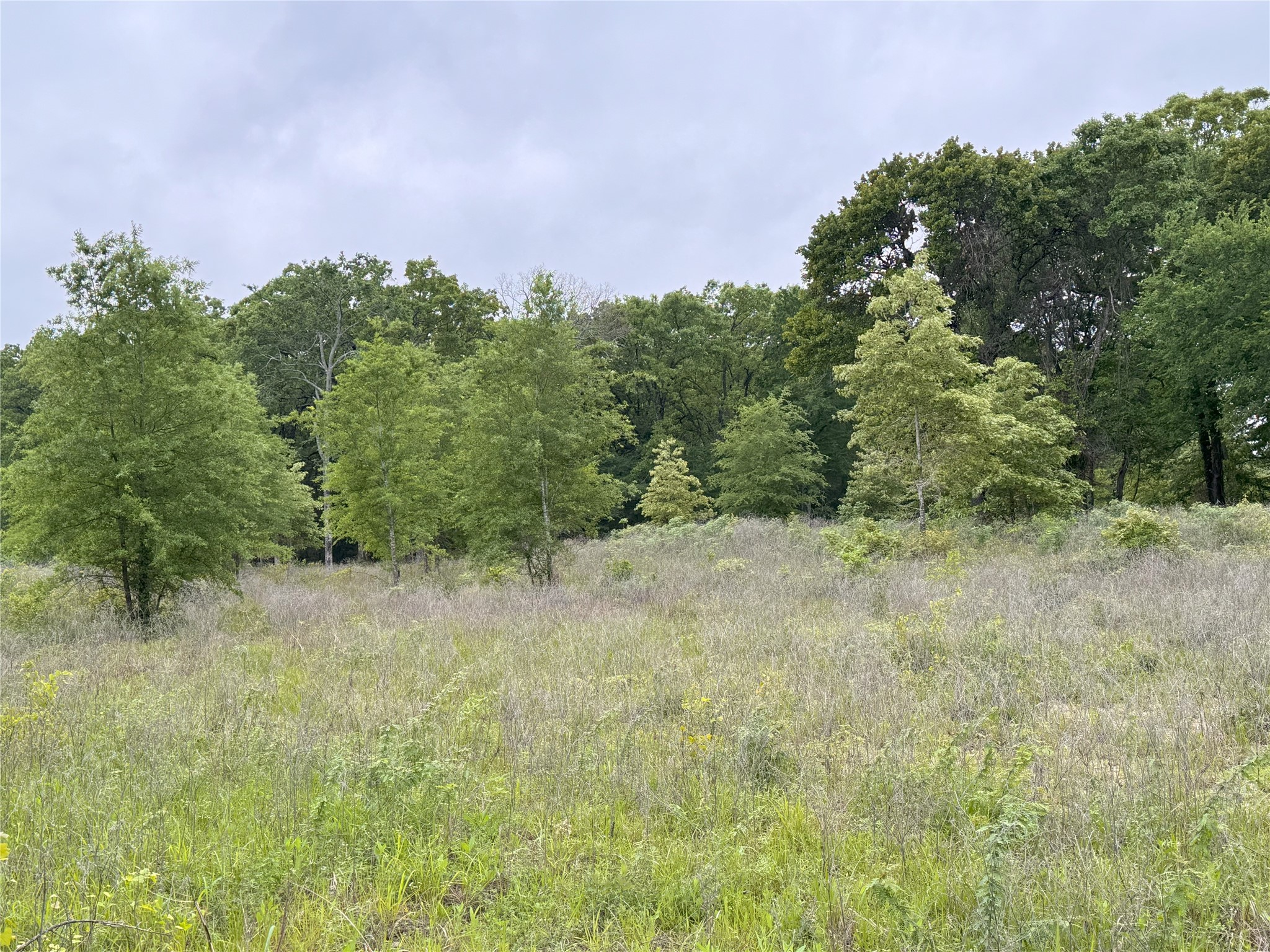Lot 25 Rains County Road 2610 Alba TX 75410