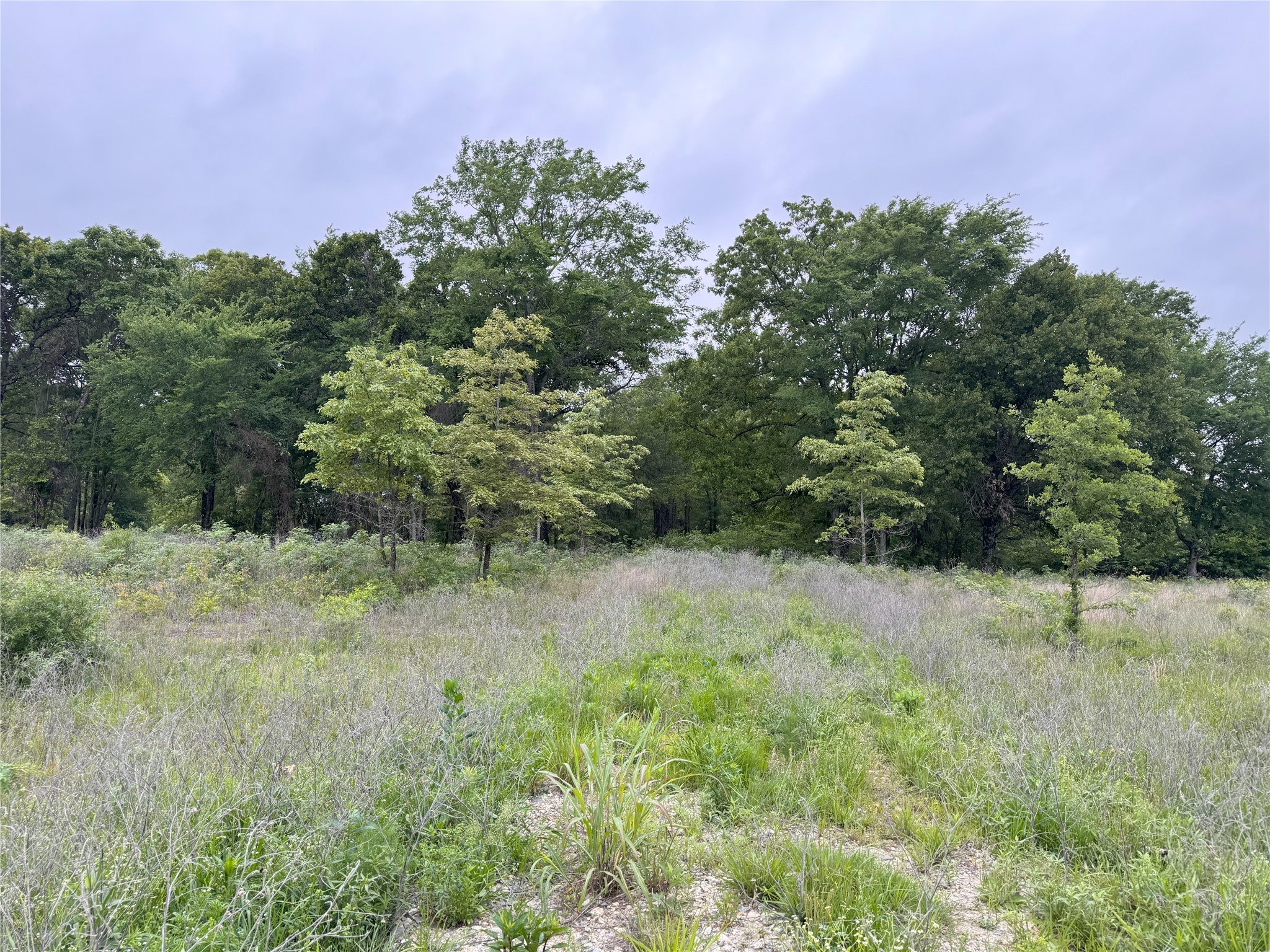 Lot 25 Rains County Road 2610 Alba TX 75410