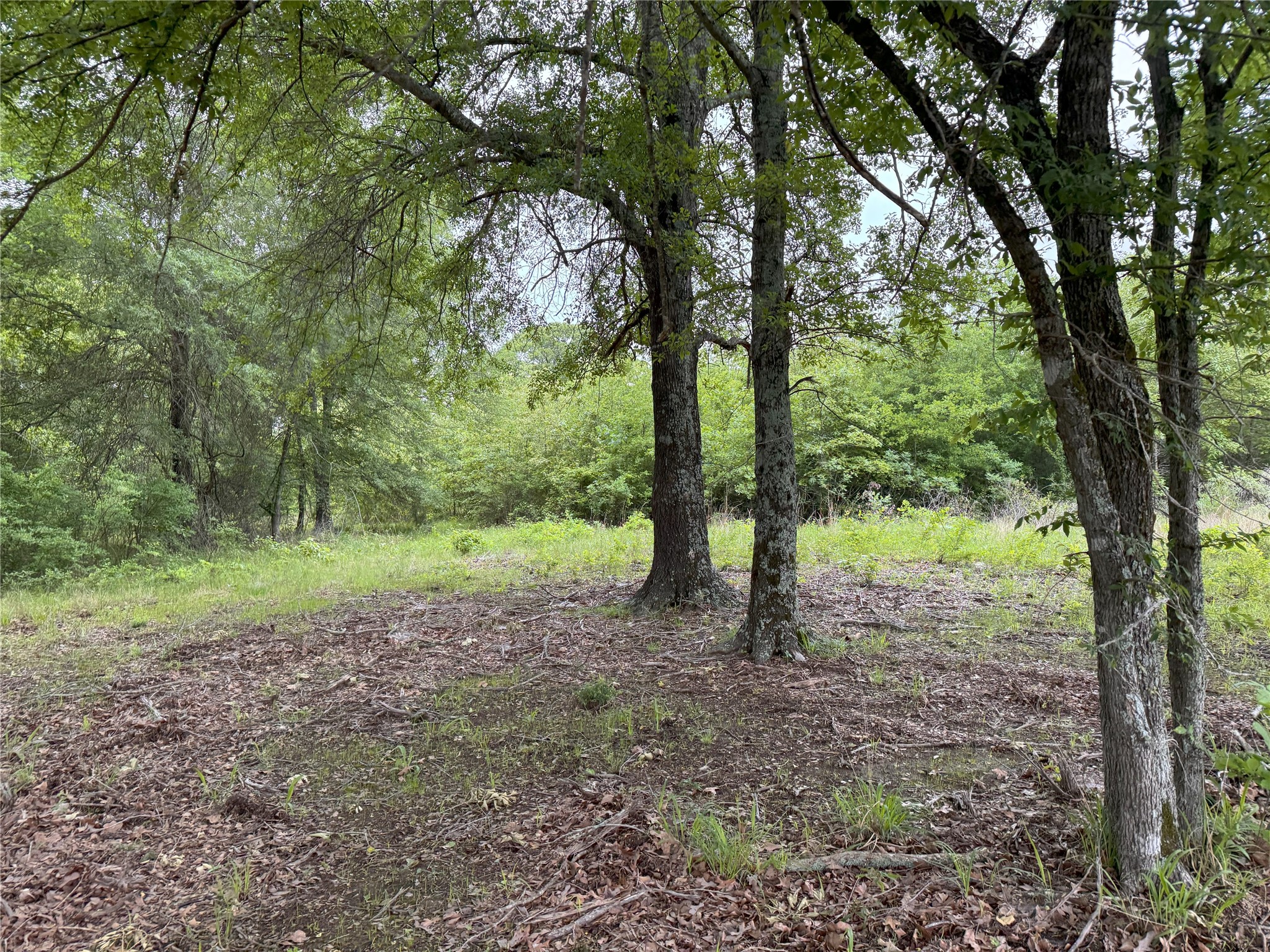 Lot 25 Rains County Road 2610 Alba TX 75410