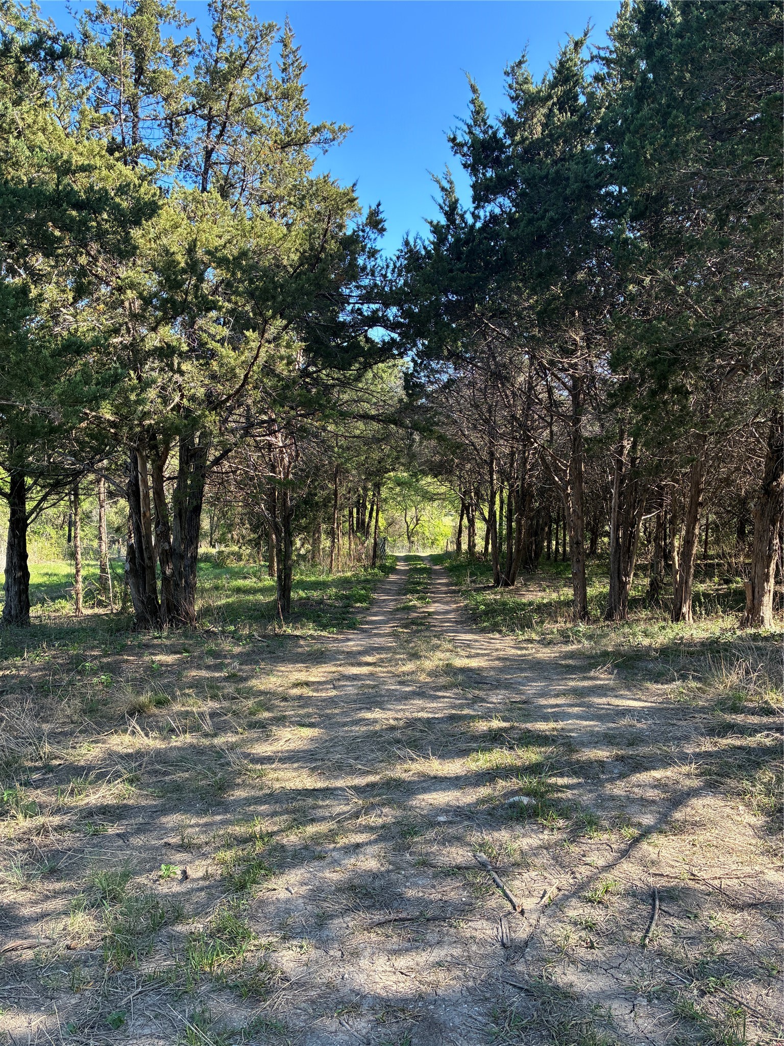 1744 Winchester Drive Moody TX 76557