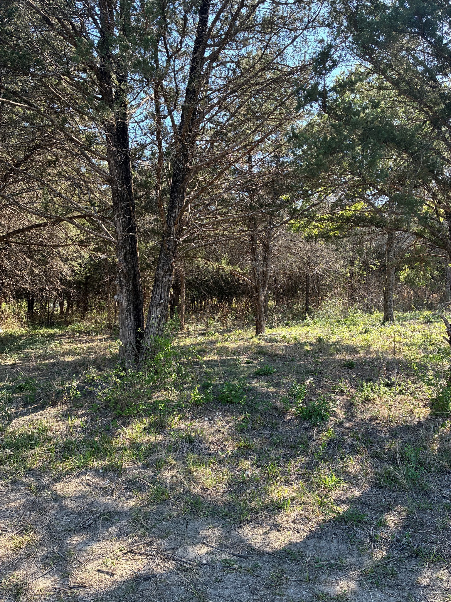 1744 Winchester Drive Moody TX 76557