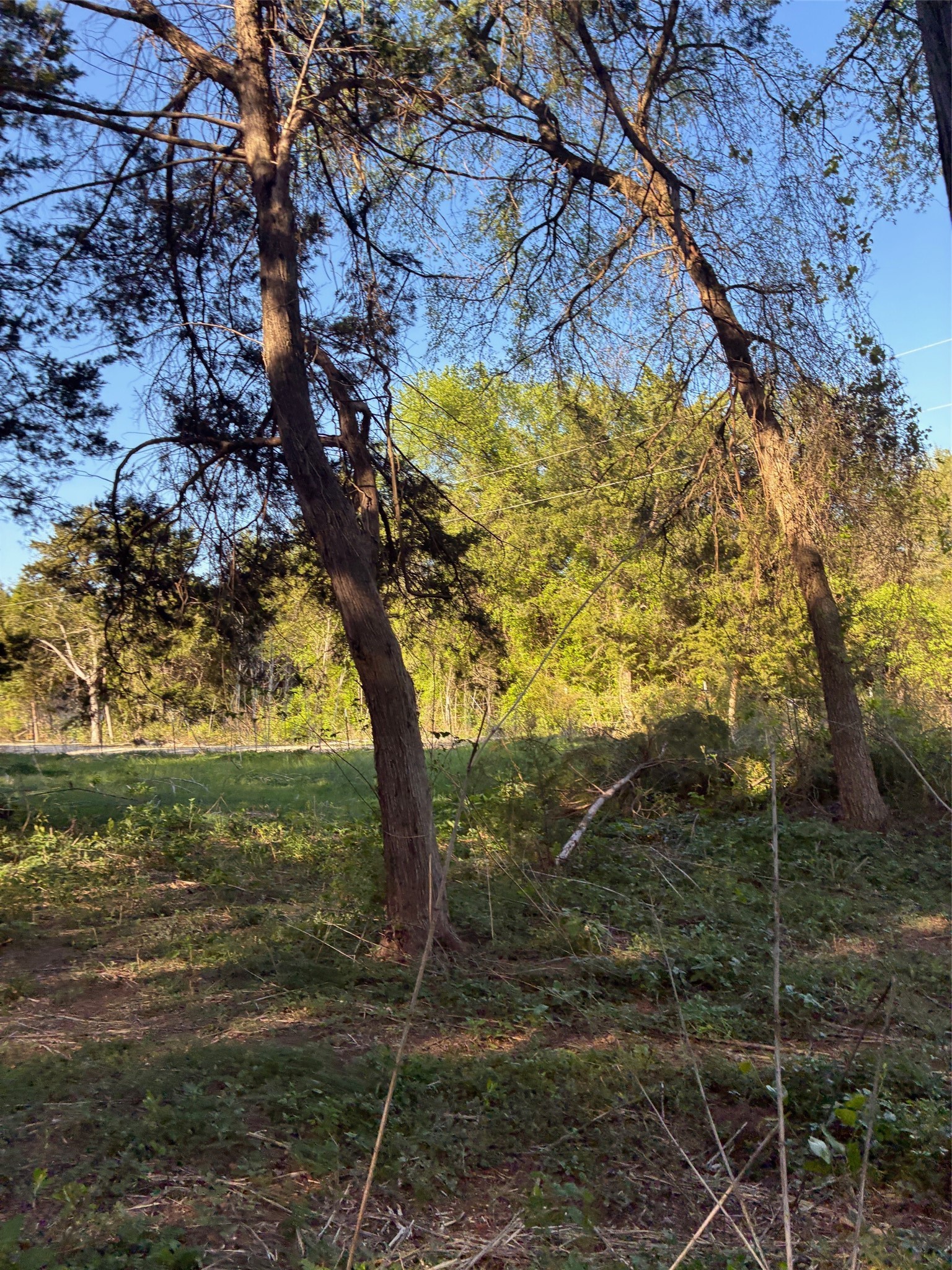 1744 Winchester Drive Moody TX 76557