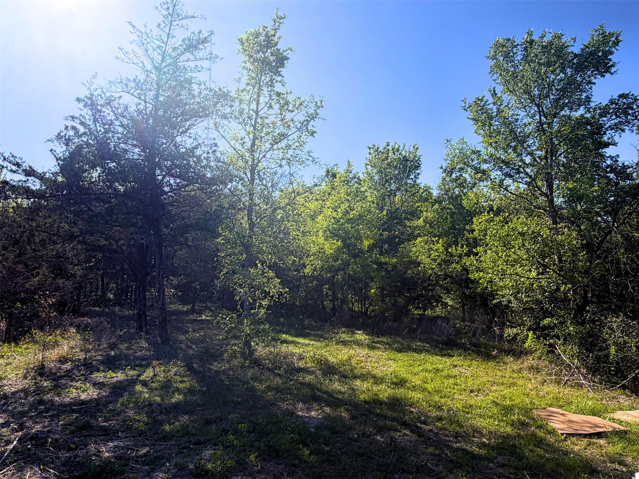 1744 Winchester Drive Moody TX 76557