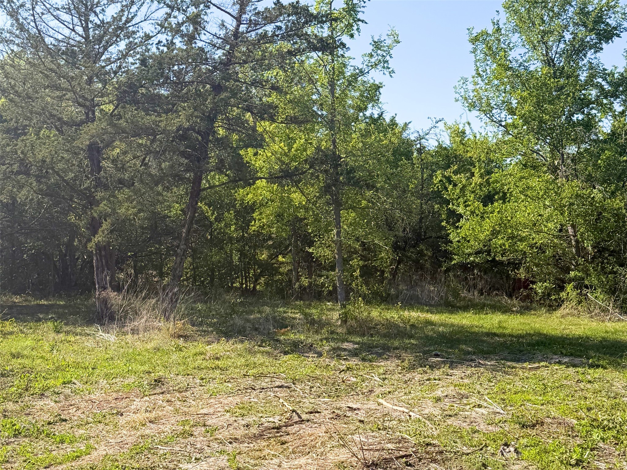 1744 Winchester Drive Moody TX 76557