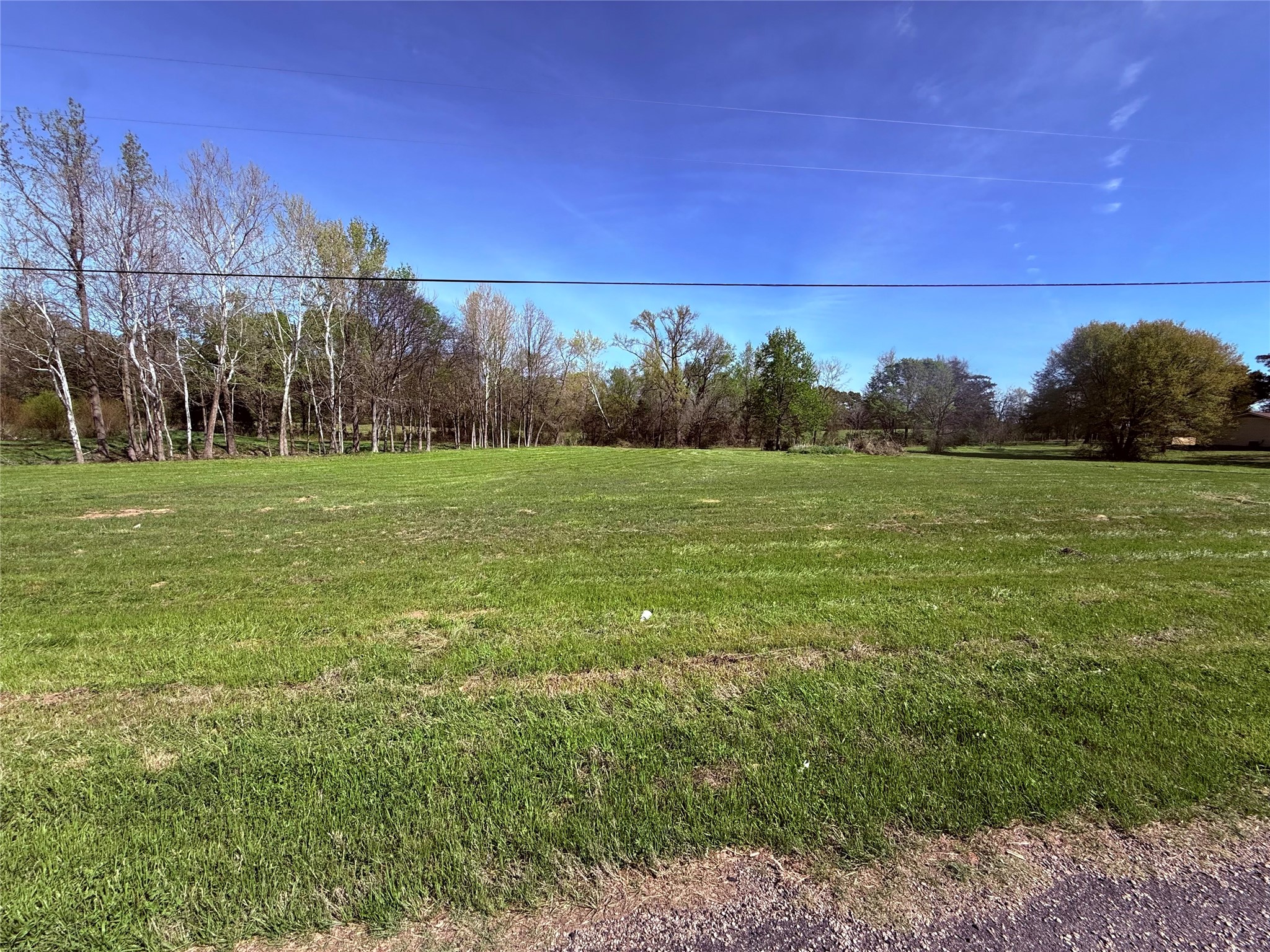 Tbd Tx-11 E Winnsboro TX 75494